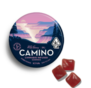 CAMINO - Camino | Edible | Gummies - Wild Berry | 100mg
