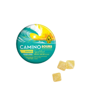 CAMINO - Camino Sours | Edible | Gummies - Tropical Burst | 100mg