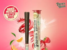 Papa's Herb - Purple Punch - 1g Blunt