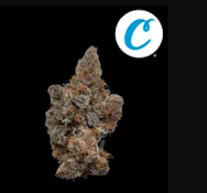[REC] Cookies | Blue Agave | 7g littles
