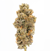 Umamii - Grape Pie - 3.5g - Flower