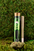 Golden Garden | Preroll | Bananaconda | 1g