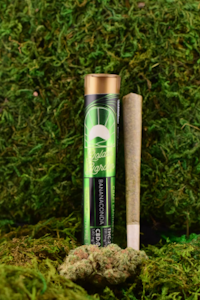 Golden Garden - Golden Garden | Preroll | Bananaconda | 1g