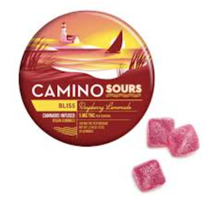 CAMINO - Camino | Sour Raspberry Lemonade | 10-pack | 100mg