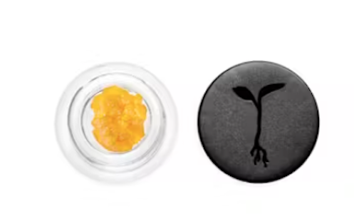 Raw Garden - Raw Garden - Concentrate - Ginseng Kush Live Resin - 1G