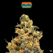 Flower | Full Court Sour