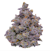 Animal Face (Smalls) - 7g (H) - Fig Farms