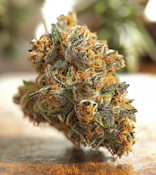 3.5g Flower - Garlic Diesel - Sativa