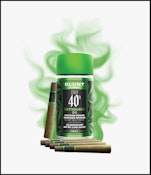 [STIIIZY] INFUSED BLUNT 5 PACK - 2.5G - SKYWALKER OG (I)