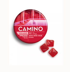 CAMINO - WILD CHERRY EXHILARATE GUMMIES - CAMINO - 100mg