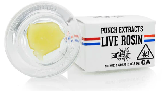 Punch - Punch - Concentrate - Tier 3 - Glazed Donuts - 1G Main Image