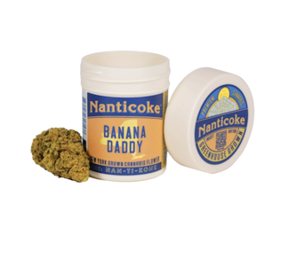 Nanticoke - Banana Daddy - 3.5g Flower