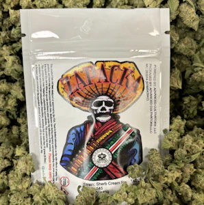 ZAPACKA - Cherry Mocha Latte | 3.5g Small Buds | TAX INCLD