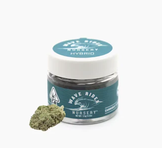 Wave Rider - Grapes & Cream (H) | 3.5g Jar | Wave Rider