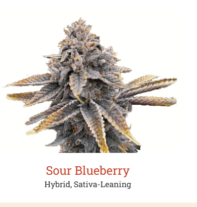 [REC] Victory Natural Farms | Sour Blueberry | 3.5g Flower