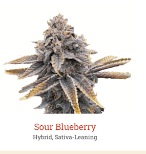 Victory Farms - Victory Natural Farms | Sour Blueberry | 3.5g Flower