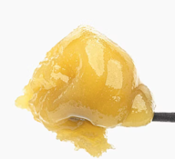 WEST COAST CURE 1G Grape Biscotti Live Resin Badder