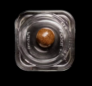 Hashish | Devil Driver | 1g