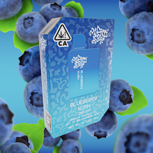 Micro Bar - Micro Bar 1G AIO Blueberry Kush Disposable