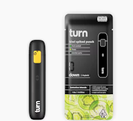 Turn 1G Kiwi Spiked Punch Botanica Blends Disposable