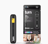 Turn 1G Pina Colada Botanica Blends Disposable