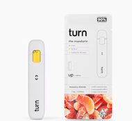 Turn 1G The Mandarin Botanica Blends Disposable