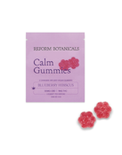 Reform Botanicals - Blueberry Hibiscus - 2pk - CBD