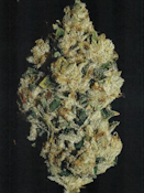 Curaleaf Whole Flower 3.5g Motor Breath 15 (I) 00854