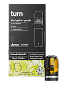 kiwi spiked punch | 1g | pod | botanical blends | turn