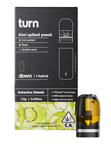 TURN - kiwi spiked punch | 1g | pod | botanical blends | turn