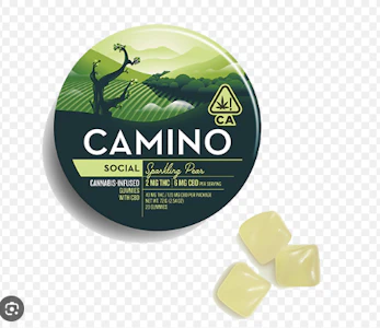Kiva Confections - Sparkling Pear CBD "Social" Gummies | 100mg | Camino