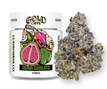 [CLAYBOURNE] GOLD CUTS FLOWER - 3.5G - GUAVA GASLATO (H)