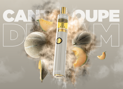 DIME INDUSTRIES - Dime Signature AIO 1g - Cantaloupe Dream 85%