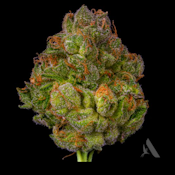 GG4 Flower T20.48% H 00540