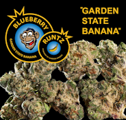 [REC] Garden State Banana | Blueberry Runtz | 3.5g Flower