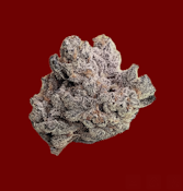 Dante's Inferno | Indoor Flower | 3.5g (High Ambitions)