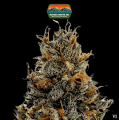 Flower | Pineapple OG