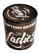 The Ladies - Chocolate Thai - 3.5g - Flower