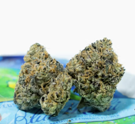 TEDS BUDZ 3.5G Blue Mahi Flower