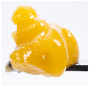 [West Coast Cure] Live Resin Badder - 1g - Blueberry Gelato (I)