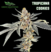 [REC] Green Lightning | Tropicana Cookies | 3.5g 