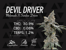 Devil Driver - Indoor - 5g