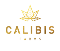 Calibis 1g Cartridge - Berry King 81%