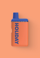 Holiday - Leisure - 1g AIO