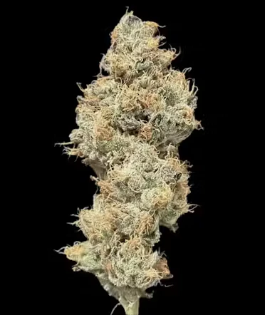 Choof By Alt Sol - Sour Puss 3.5G Choof by Alt Sol Main Image