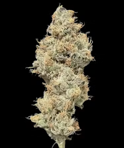 ALTERNATIVE SOLUTIONS - Tahiti Twist 14G Half Oz By Alt Sol