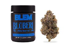 Bluberi | 3.5g | BLEM