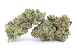 Morockin Kush | 3.5g Flower | TAX INCLD