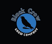 Black Crow Grow Godberry