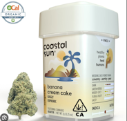 Coastal Sun Flower 7g - Banana Cream Cake 32%
